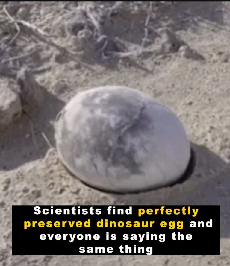 scientific