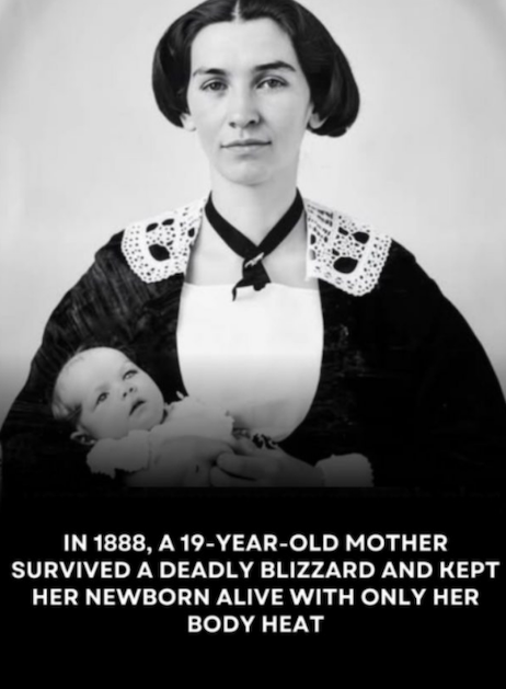 american-history-wife american-history-wife