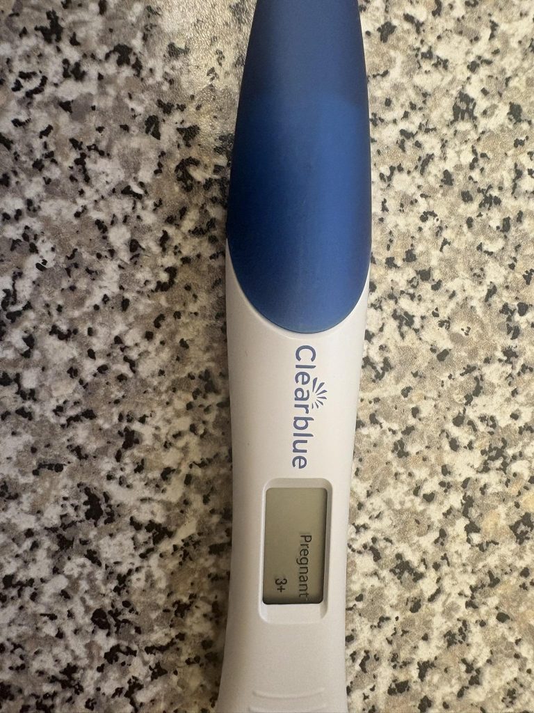 pregnant pregnant