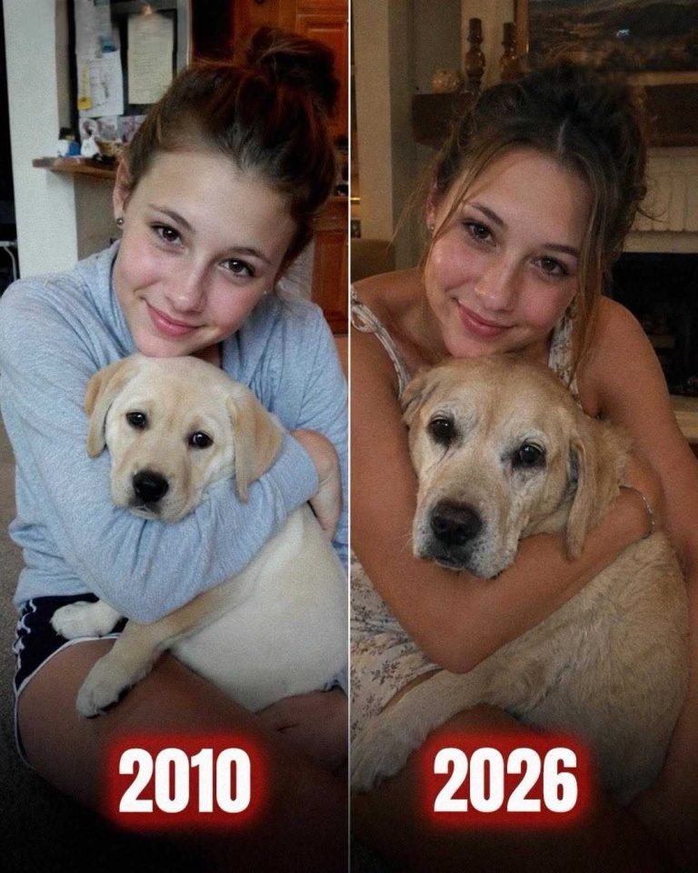 daughterdoglove